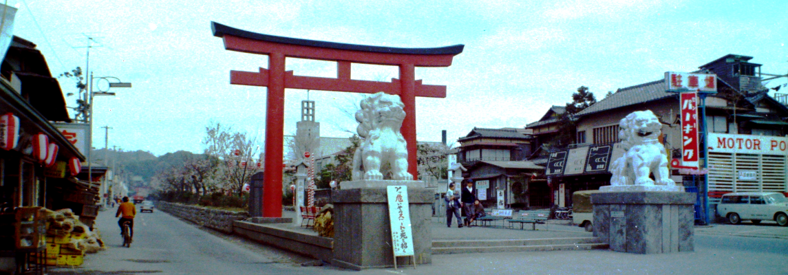 昭和40年代 鶴岡八幡宮の参道「段葛（だんかつら）」画像
